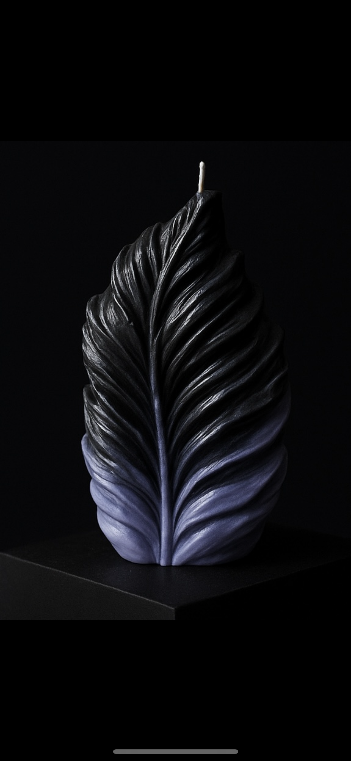 The Vaulted Collective image 7