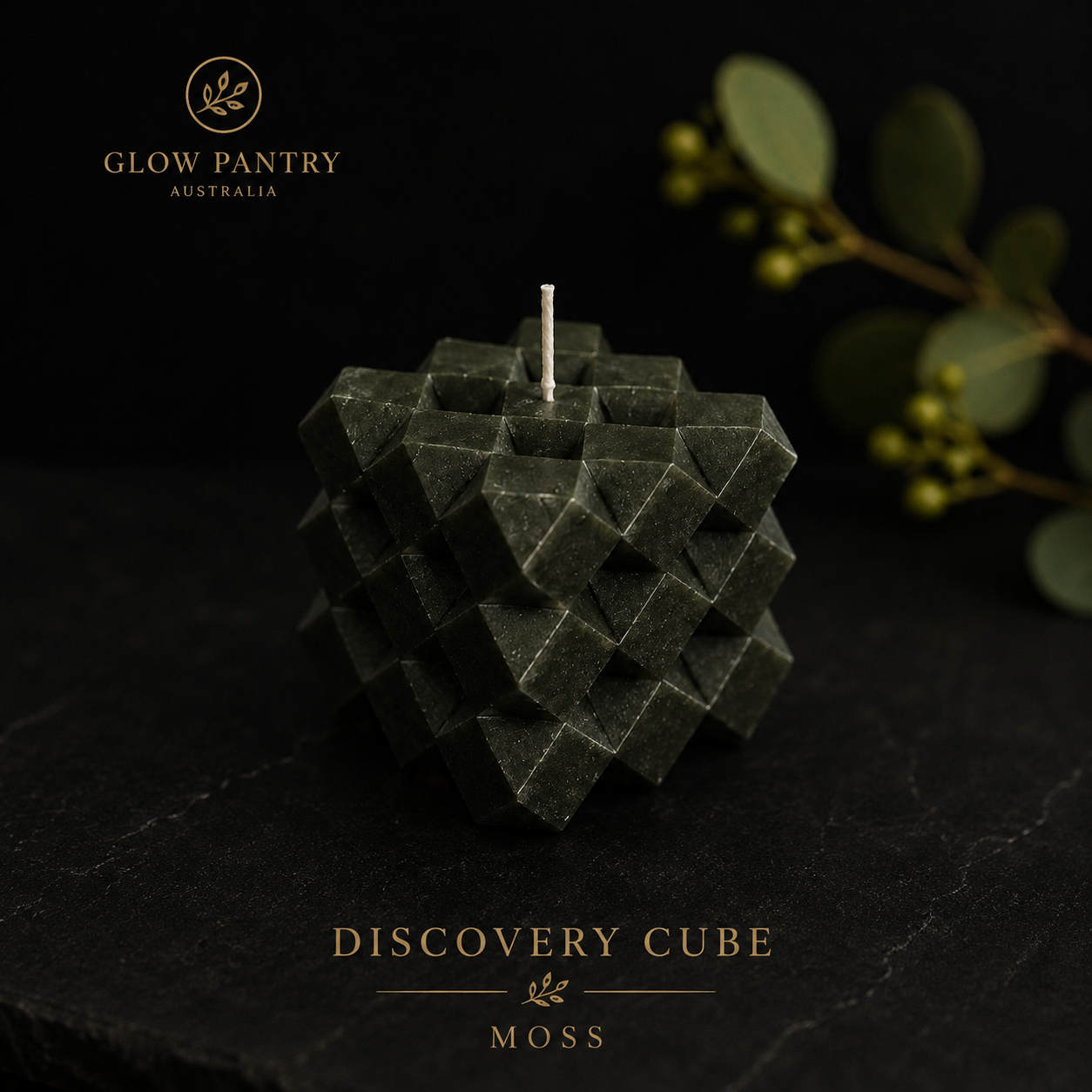 Discovery II | The Collector's Box