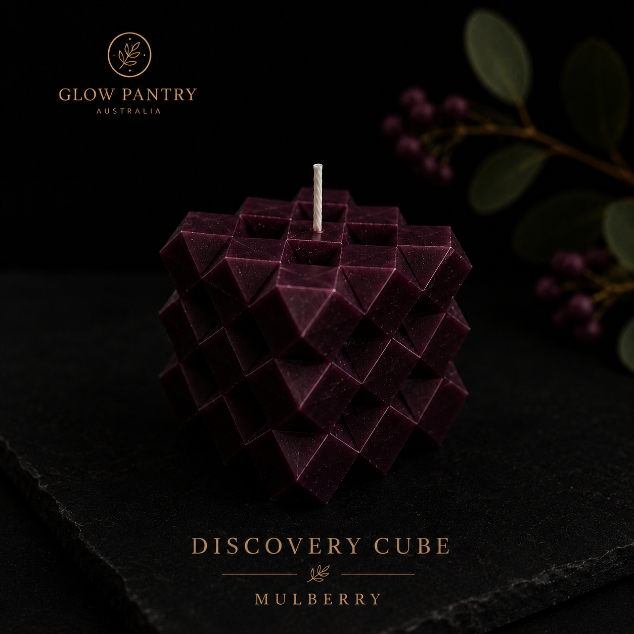 Discovery II | The Collector's Box